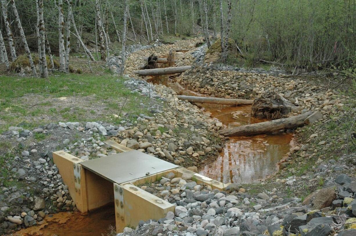 The rusty orange on the rocks of the Muddy River side channel remains, even after flow from the stream was flushed through during the winter.