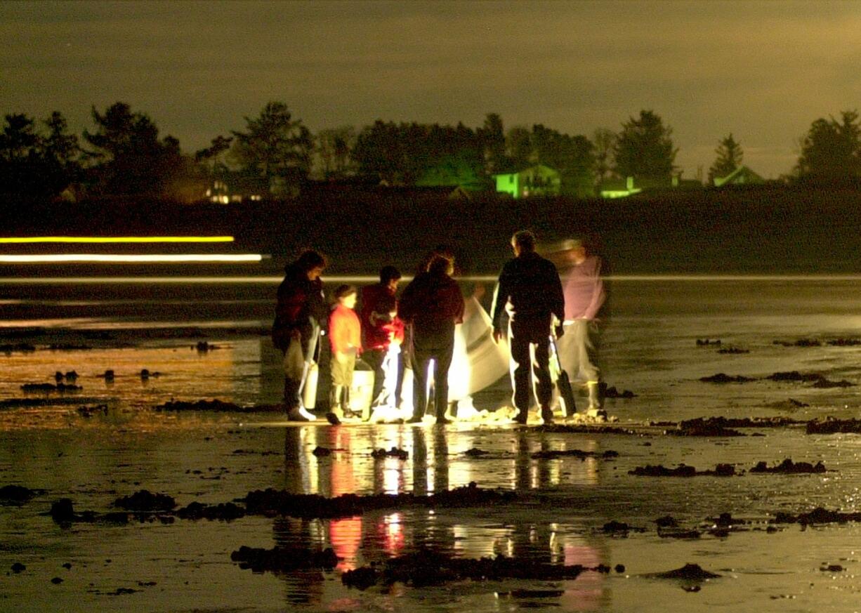 Fall and winter razor clam seasons are on afternoon and evening tides.