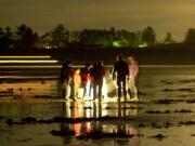 Fall and winter razor clam seasons are on afternoon and evening tides.