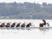 Dragon boat race participants near finish line at the Paddle for Life dragon boat festival at Vancouver Lake last year.