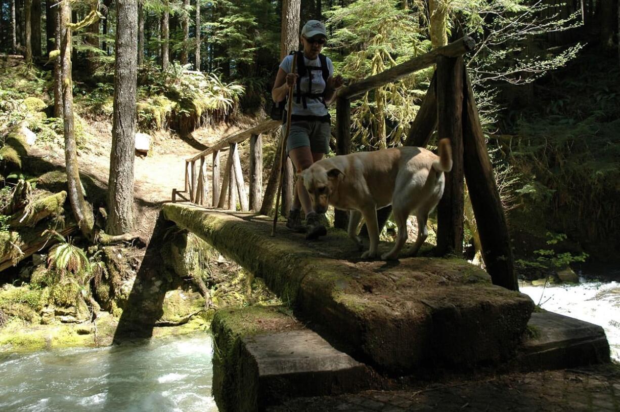 The Gifford Pinchot National Forest is seeking a state grant to replace this aging log bridge across West Creek on Siouxon trail No. 130.