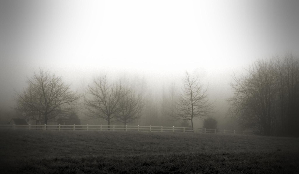 Frosty winters morning- Brush Prairie (2013)