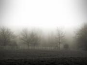 Frosty winters morning- Brush Prairie (2013)