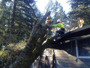 A crew from Alpha Tree Care clears a tree from the roof of a house at 19809 N.E.