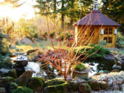 Plant your garden to take advantage of the occasional spell of bright winter sunshine.