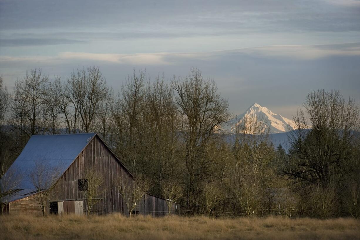 Mount Hood towers over the horizon in the Pioneer area of Clark County, east of Ridgefield, on a sunny winter day in January 2012.