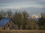 Mount Hood towers over the horizon in the Pioneer area of Clark County, east of Ridgefield, on a sunny winter day in January 2012.