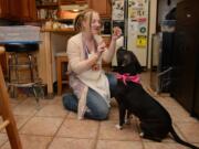 Veterinarian Sara Lavery has her pit bull, Arya, wait for one of her homemade treats in her Oakmont, Pa., kitchen.