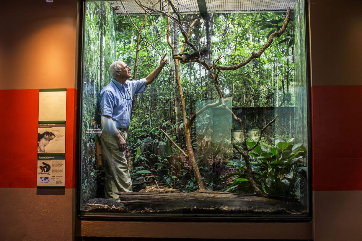 David Kessler, the longest-serving keeper at the National Zoo in Washington, visits a Prevost's squirrel in its enclosure.