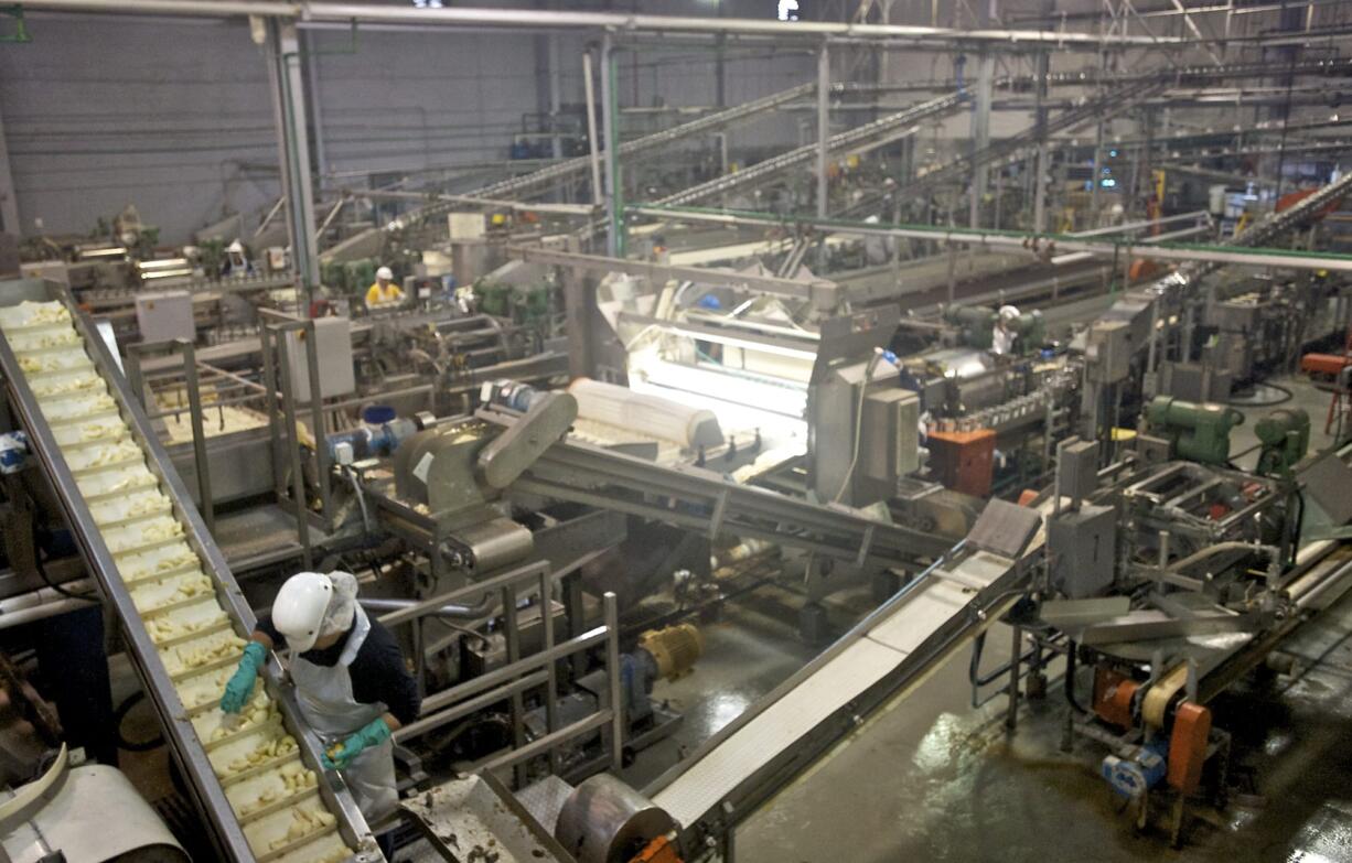 Workers sort pears at Northwest Packing Co.