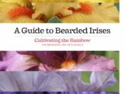 Review: &quot;A Guide to Bearded Irises: Cultivating the Rainbow for Beginners and Enthusiasts&quot; by Kelly D.