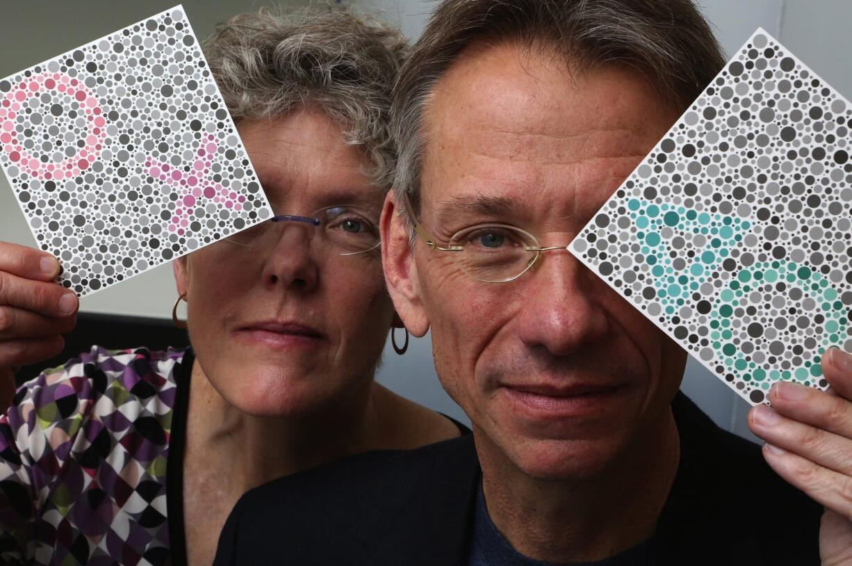 University of Washington researchers Maureen and Jay Neitz, seen holding testing cards for color perception, have teamed up with a California biotech company for a prospective gene-therapy cure for colorblindness.