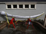 A massive blue whale jawbone is displayed outside the recently opened Langley Whale Center on Whidbey Island in Washington.