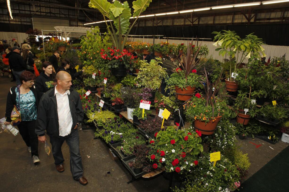 Visitors browse the plant sale Sunday at the Clark Public Utilities Home and Garden Idea Fair, which included more than 40 nurseries.