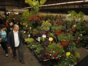 Visitors browse the plant sale Sunday at the Clark Public Utilities Home and Garden Idea Fair, which included more than 40 nurseries.