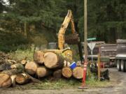 Trees are cleared April 2 near Columbia Presbyterian Church in Vancouver.