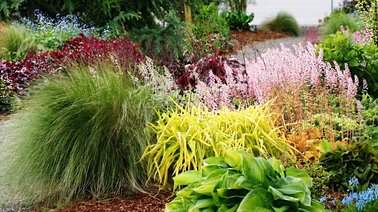 A planting bed at Terra Nova nursery encourages us to take a chance with color and texture in the garden.