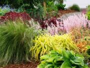 A planting bed at Terra Nova nursery encourages us to take a chance with color and texture in the garden.