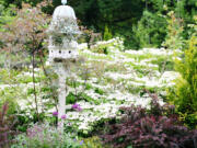 A large bird house, a lace-cap viburnum and a purple barberry add focus, depth and texture to the midspring garden.