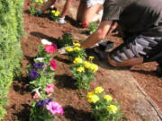 Nikayla Banks, vice president of the Washougal High School Interact Club, and member Nick Costa-Stange, planted marigolds and pansies Friday afternoon at the Washougal Memorial Cemetery.