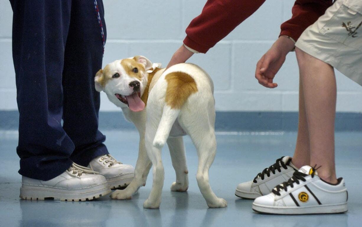 The city of Vancouver has found a buyer for the former home of the Humane Society for Southwest Washington -- and cats and dogs such as Keelee, a puppy adopted in 2005 -- which the city obtained during a property swap with the Humane Society.