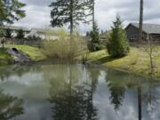 Cary Armstrong, Source Control Specialist with the Clark County Department of Environmental Services, shows a well maintained stormwater site in a Vancouver neighborhood, in 2011.