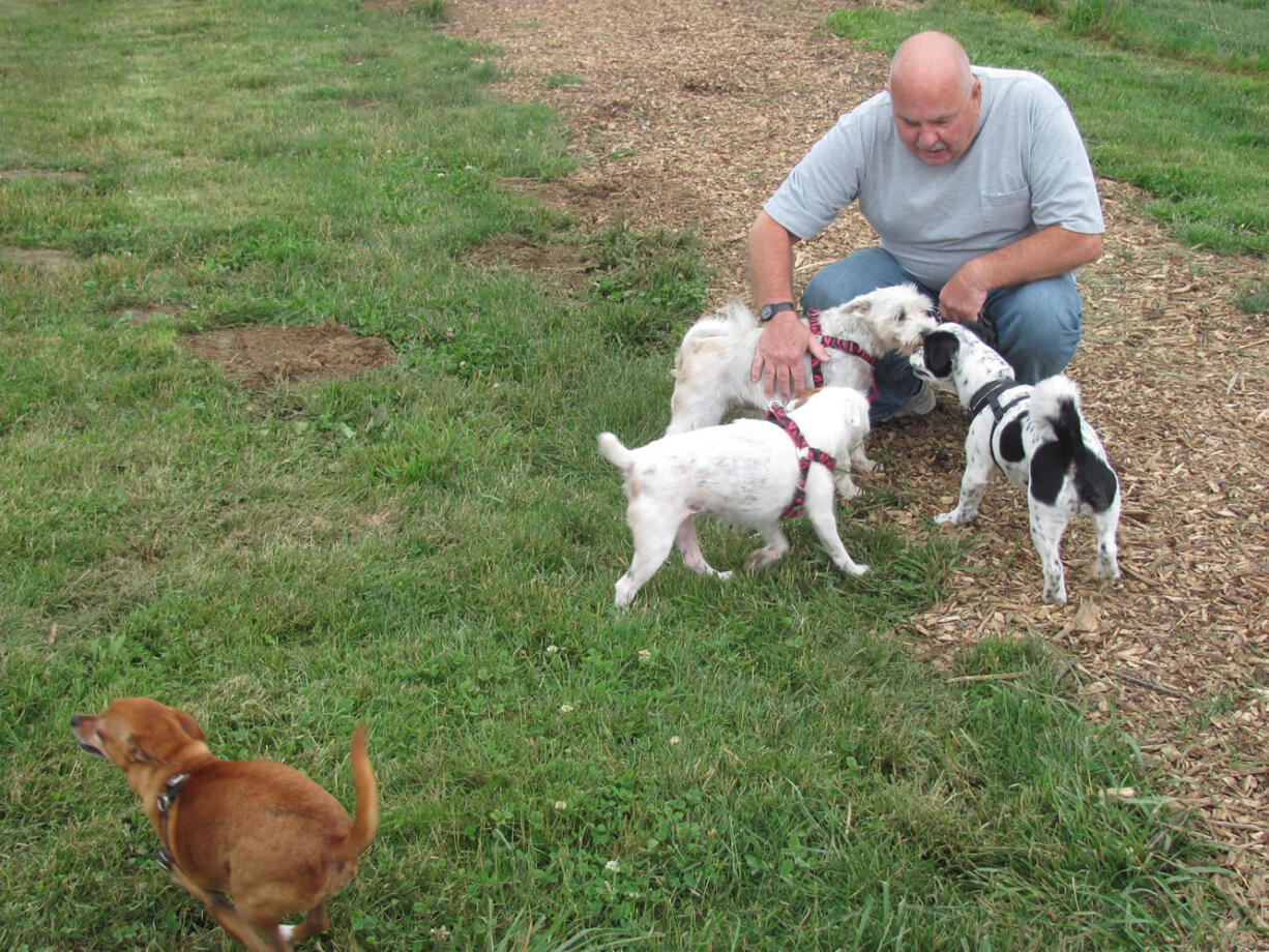 Dogs and their owners enjoy the open spaces of the Donald and Angeline Stevenson Off Leash Area, at 32nd and Addy streets in Washougal.