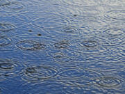 Believe it or not this is the fifth month in a row with more rain than normal, but Vancouver is still behind for the water year because of December and January sunshine.