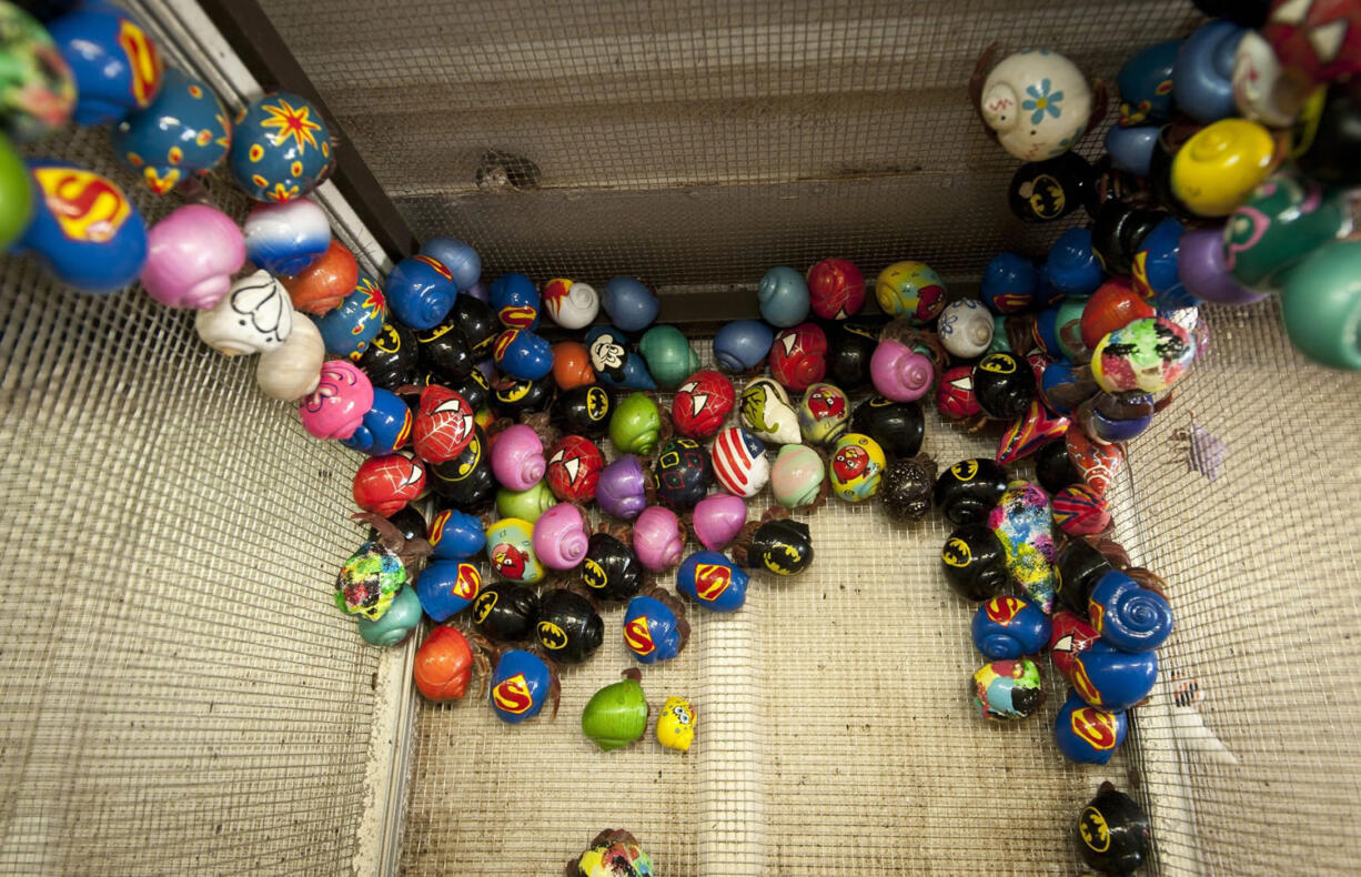 Hermit crabs with painted shells cling to a cage at Shell Shanty, a hermit crab distribution company owned by Bill Huelsenbeck of West Creek, N.J.