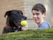 Jacob Rubin, 14, plays with his dog Bailey at his home in Long Grove, Ill., on Friday. Rubin and his brother Jonathan signed up their dog -- Bailey D.