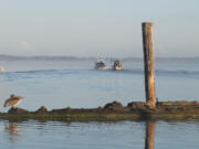 A pair of boats leave the Port of Chinook last weekend.