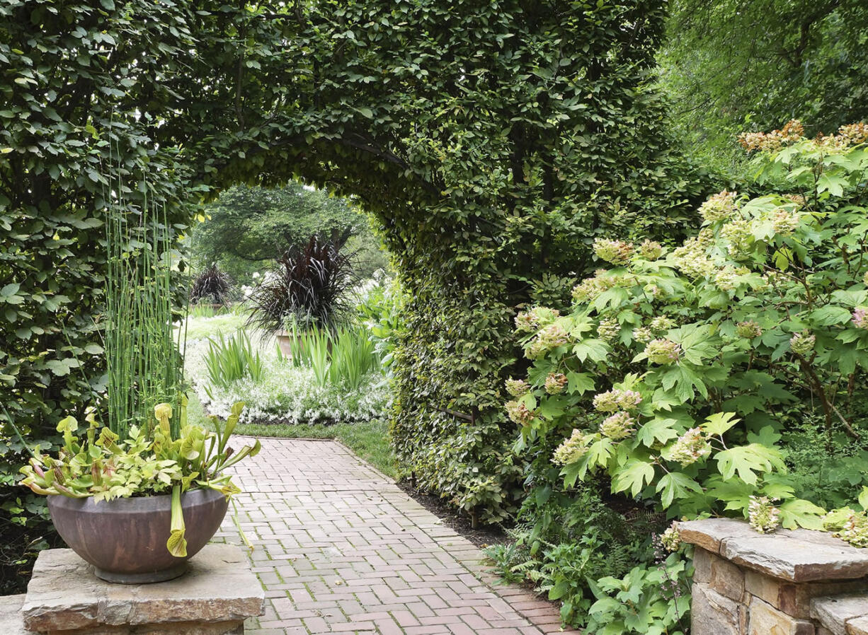 Photos by Rick Darke/Courtesy of Timber Press
Oakleaf hydrangea at Longwood Gardens in Kennett Square, Pa., by Rick Darke from the book &quot;The Living Landscape,&quot; by Darke and Doug Tallamy.