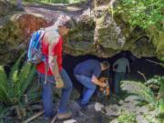 The entrance to Lake Cave isn't marked but a well-trodden trail leads to it.