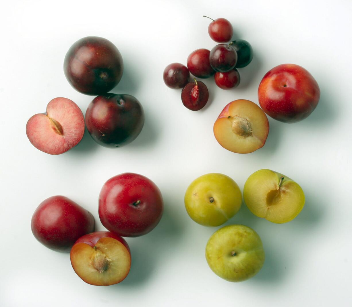 Plums can be surprising. Will the one you sink your teeth into be tart or sweet? There are no guarantees, but there are a few hints. Clockwise from top left: Purple plums, cherry plums, red plums, dragon plums and tree-ripe plums. Illustrates FOOD-PLUMS (category d), by Bonnie S. Benwick &not;&copy; 2005, The Washington Post. Moved Wednesday, Aug. 10, 2005.