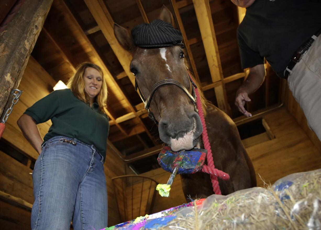 Nick, a 22 year-old appaloosa clydesdale cross, paints at the Danada Equestrian Center in Wheaton, Ill. Nick has been taught to paint using the clicker method, which rewards behavior with a clicking sound and food. Margaret Gitter clicks and gives Nick his treats, as Dan Neustadt assists Nick with the paint brush.