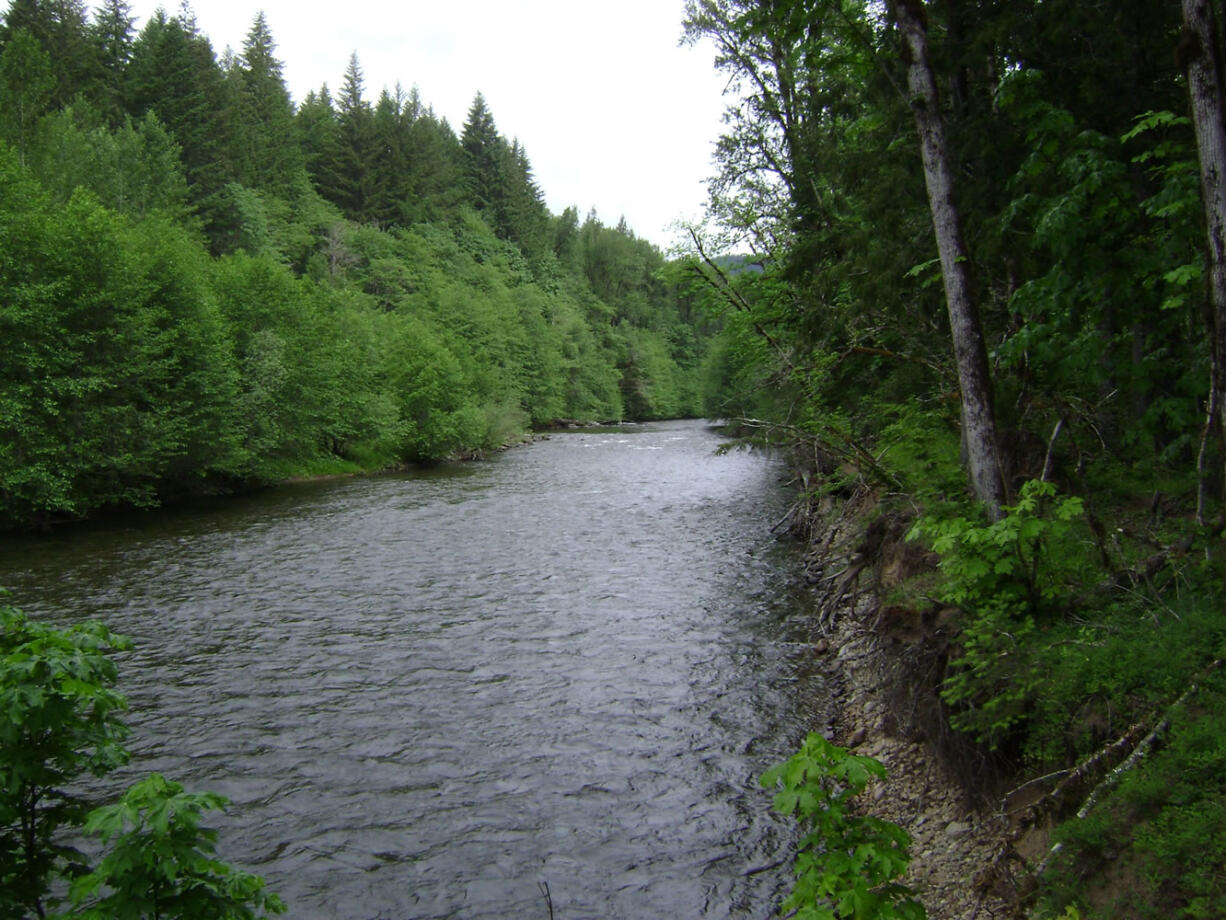 A grant of $135,000 will be used to develop a list of restoration projects for the Wind River and to complete two preliminary designs.