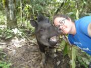 Lake Shore: Crystal Steinmueller volunteered for five weeks this summer at AmaZOOnico, an animal rescue center in Ecuador, spending time with the center's more than 600 animals, including Navi, a tapir.