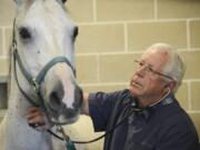 Veterinarian Thomas Meyer examines a Shagya Arabian horse before surgery at Mountain View Veterinary Hospital on Tuesday, September 8, 2015. Meyer was recently named president-elect of the American Veterinary Medical Association.