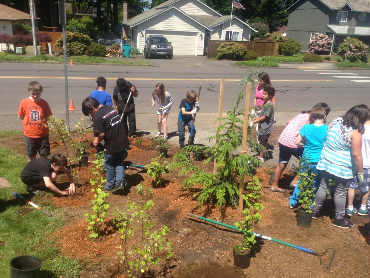 Burnt Bridge Creek: Students in Jaime Rosa's fifth-grade class at Burnt Bridge Creek Elementary School plant native shrubs and a &quot;wish tree&quot; on May 30 at their school, the culmination of their yearlong lessons on the local environment.