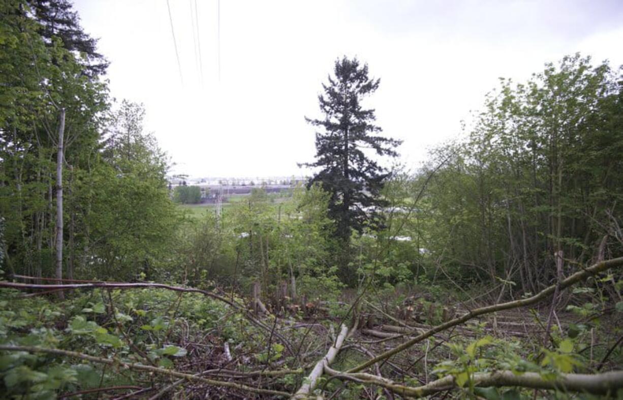 Paul Suarez/The Columbian
A Vancouver man cleared this 15,000-square-foot area of land below his home in April. He faces fines of more than $28,000 from the city of Vancouver.