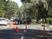 Crews from Clark PUD work to remove a downed tree limb that cut power along N.E.