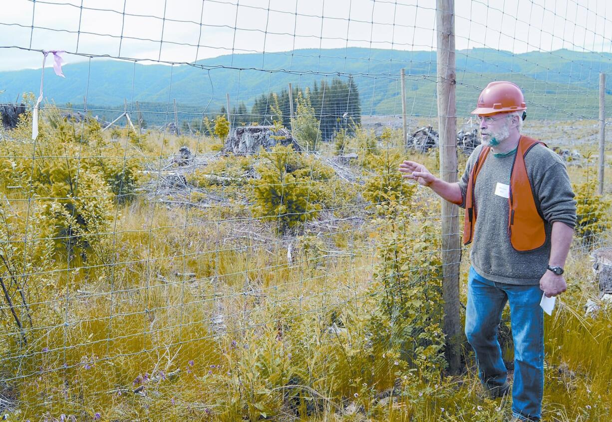 During a tour of Weyerhaeuser land, elk researcher John Cook said that herbicides are not eliminating forage for elk.