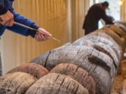 Volunteers work on the weathered Lelooska totem pole at the Oregon Zoo.