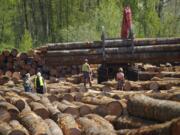 A log loader places a load of timber in a scaling-and-sorting area at Columbia Vista Corp. on Wednesday in Vancouver.