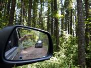 Members of Saving Skamania County tour land north of Stevenson including dispersal and foraging habitat for the spotted owl Friday afternoon, Sept. 11, 2015.