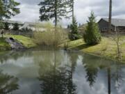 Cary Armstrong, Source Control Specialist with the Clark County Department of Environmental Services, shows a well maintained stormwater site in a Vancouver neighborhood, Thursday, April 7, 2011.