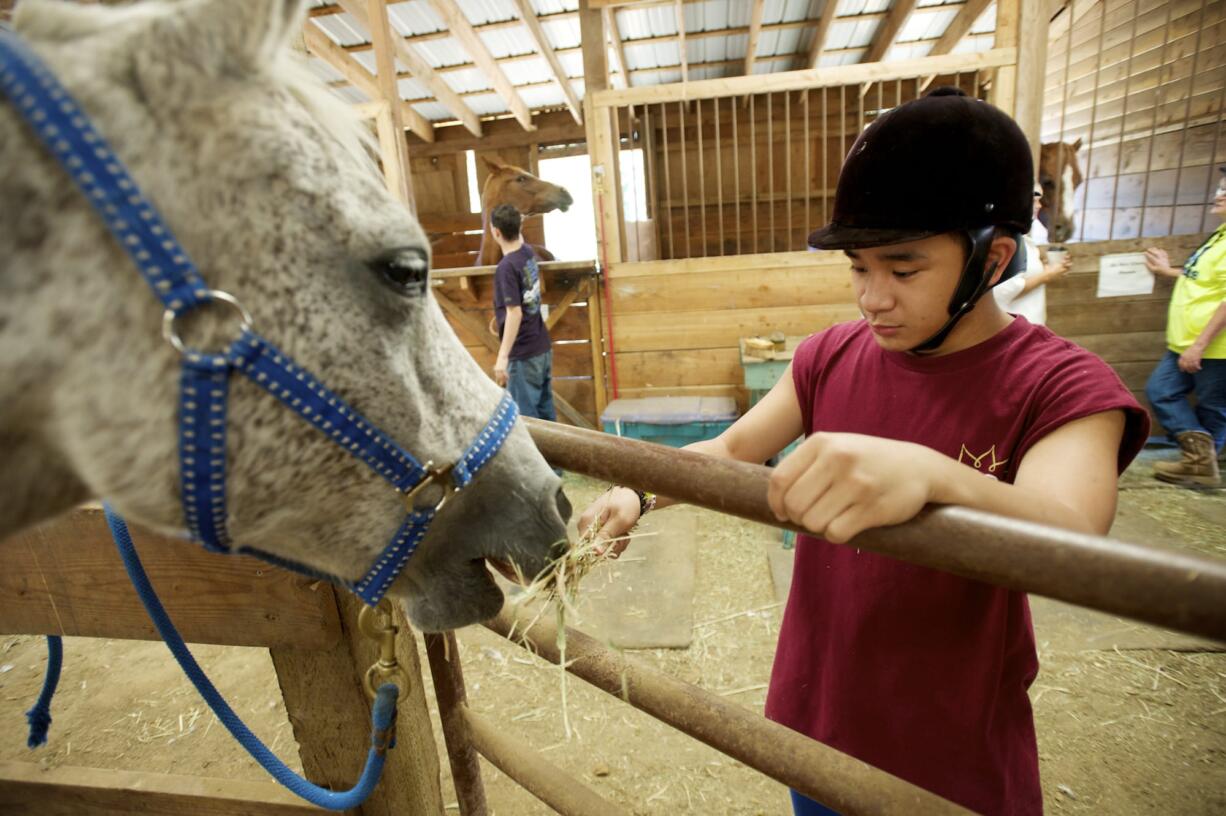 Photos by Steven Lane/The Columbian
J.J. Macaraeg, 17, of Seattle tends to horses at Daybreak Youth Services Horse Ranch in Battle Ground.