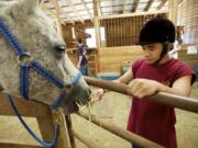 Photos by Steven Lane/The Columbian
J.J. Macaraeg, 17, of Seattle tends to horses at Daybreak Youth Services Horse Ranch in Battle Ground.