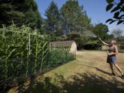 JR Ralston waters her garden at her Felida home on Monday as temperatures rose to a record-tying 98 in Vancouver.