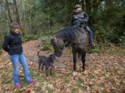 Whipple Creek Park Restoration Committee President Anita Will's horse Russell nudges Treasurer Christine Kukula's dog Bebe, as the two committee members show off some of the finished trail work at the park on Nov.